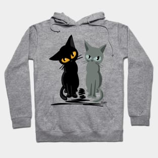 Black and gray Hoodie